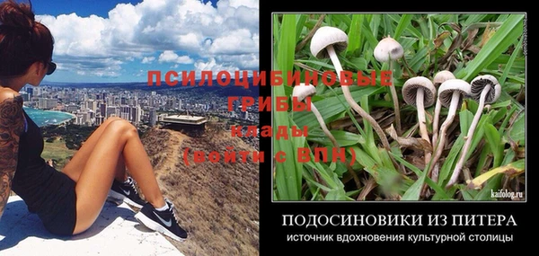 прущая мука Коряжма