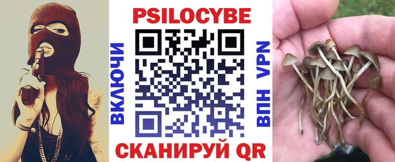 Псилоцибиновые грибы мицелий  Новотитаровская 